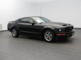 2005 Black Ford Mustang V6 Premium Coupe #83500885