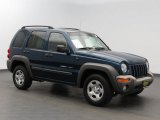 Patriot Blue Pearlcoat Jeep Liberty in 2002