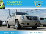 2009 Gold Mist Cadillac Escalade ESV #83500394