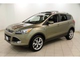Ginger Ale Metallic Ford Escape in 2013
