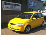 2008 Summer Yellow Chevrolet Aveo Aveo5 LS #83499435