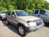 2001 Champagne Pearl Jeep Grand Cherokee Laredo 4x4 #83499355