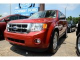 2011 Sangria Red Metallic Ford Escape XLT 4WD #83623950
