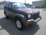 2004 Deep Molten Red Pearl Jeep Liberty Sport 4x4 #83692982