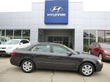 2010 Hyundai Sonata GLS