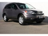 2010 Urban Titanium Metallic Honda CR-V EX #83724046