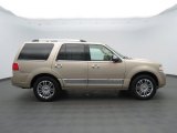 2008 Lincoln Navigator Light French Silk Metallic