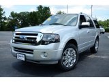 2013 Ingot Silver Ford Expedition Limited #83836303