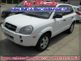 2006 Nordic White Hyundai Tucson GL #83883777