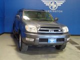 2005 Galactic Gray Mica Toyota 4Runner Limited 4x4 #83883665