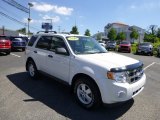 2010 White Suede Ford Escape XLT V6 4WD #83883835