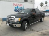 2013 Green Gem Metallic Ford F150 XLT SuperCrew 4x4 #83883722