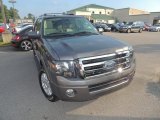 2013 Sterling Gray Ford Expedition Limited #83883999