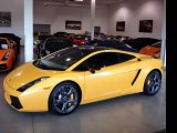 2006 Giallo Midas (Yellow) Lamborghini Gallardo SE #837701