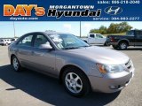 2006 Steel Gray Hyundai Sonata GLS #83935258