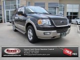 2005 Dark Stone Metallic Ford Expedition Eddie Bauer #83935228