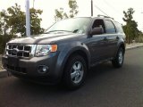 2010 Sterling Grey Metallic Ford Escape XLT 4WD #83954620