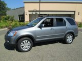 2005 Pewter Pearl Honda CR-V Special Edition 4WD #83991267