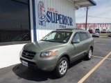 2009 Hyundai Santa Fe SE