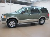Estate Green Metallic Ford Expedition in 2005