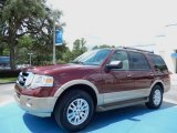 2013 Autumn Red Ford Expedition XLT #84092973