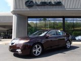 2009 Basque Red Pearl Acura TL 3.7 SH-AWD #84135941