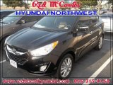 2013 Ash Black Hyundai Tucson Limited #84135526