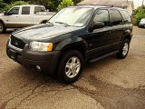 2004 Ford Escape XLT V6 4WD