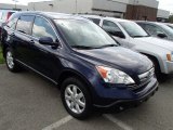 2008 Royal Blue Pearl Honda CR-V EX-L 4WD #84194032