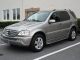 Pewter Metallic Mercedes-Benz ML in 2005