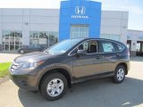 2013 Kona Coffee Metallic Honda CR-V LX AWD #84257131