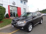 2010 Smokey Granite Mica Lexus RX 350 AWD #84256904