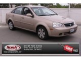 2008 Suzuki Forenza 