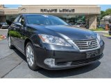 2010 Smoky Granite Mica Lexus ES 350 #84256887