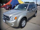 2012 Ford Escape XLT V6 Front 3/4 View