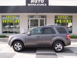 2010 Sterling Grey Metallic Ford Escape Limited V6 4WD #84312558