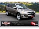 2010 Pyrite Metallic Toyota RAV4 Limited V6 4WD #84357638