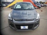 2013 Sterling Gray Metallic Ford Escape SEL 2.0L EcoBoost #84403965