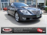 2010 Lexus LS 460