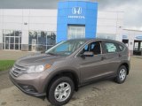 2013 Urban Titanium Metallic Honda CR-V LX AWD #84404383