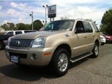 2004 Light French Silk Metallic Mercury Mountaineer V8 Premier AWD #84473033