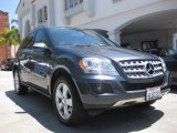 2010 Steel Grey Metallic Mercedes-Benz ML 350 #84473031