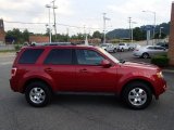 2012 Toreador Red Metallic Ford Escape Limited 4WD #84477930