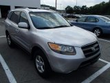 2007 Bright Silver Hyundai Santa Fe GLS #84477980