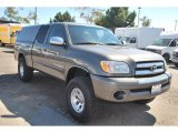 Phantom Gray Pearl Toyota Tundra in 2005