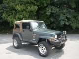 2002 Shale Green Metallic Jeep Wrangler Sahara 4x4 #84518687