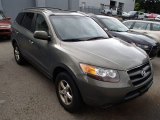 2007 Natural Khaki Green Hyundai Santa Fe GLS 4WD #84565820