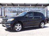 2014 Black Mercedes-Benz ML 350 BlueTEC 4Matic #84565585