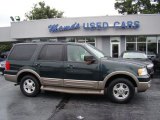 Aspen Green Metallic Ford Expedition in 2003