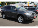 2010 Magnetic Gray Metallic Toyota Highlander Limited 4WD #84669335